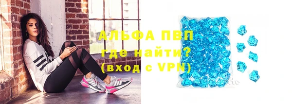 шишки Михайловск