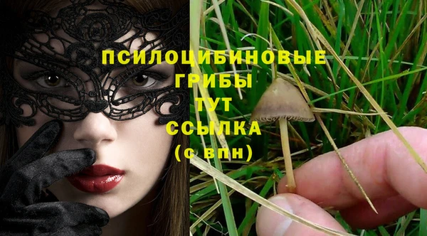 mdma Елабуга