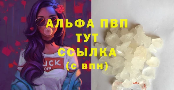 шишки Михайловск