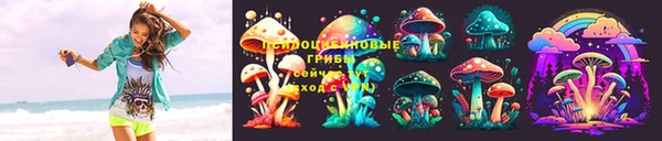 шишки Михайловск