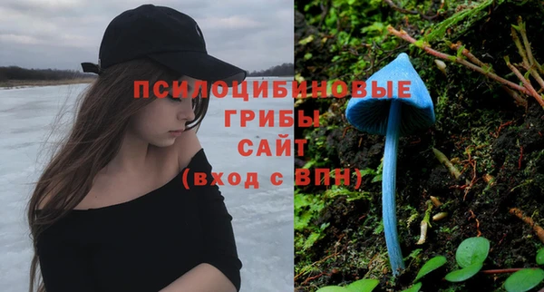 трава Медногорск