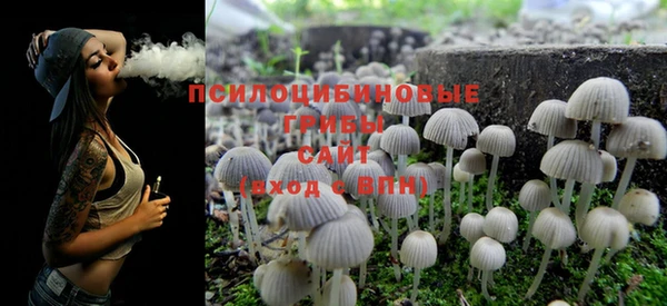шишки Михайловск