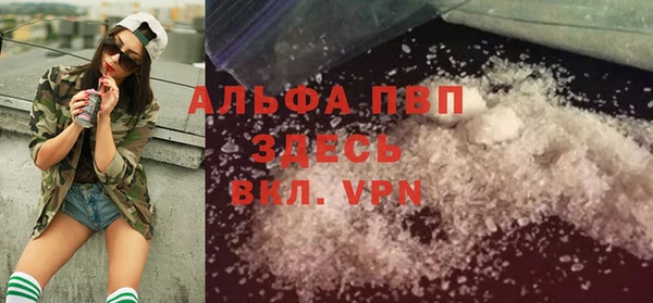 шишки Михайловск