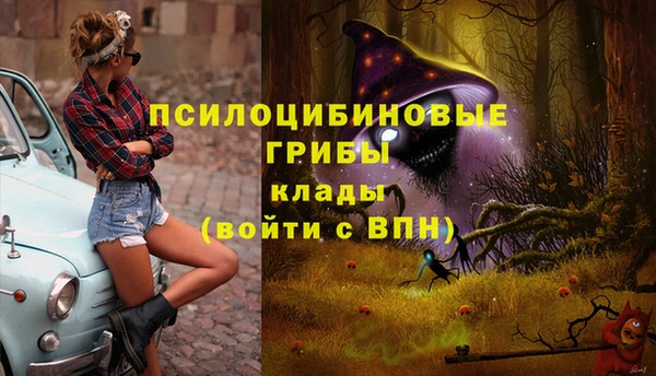 дживик Михайловка