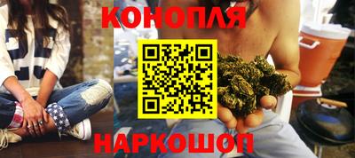 сатива Будённовск