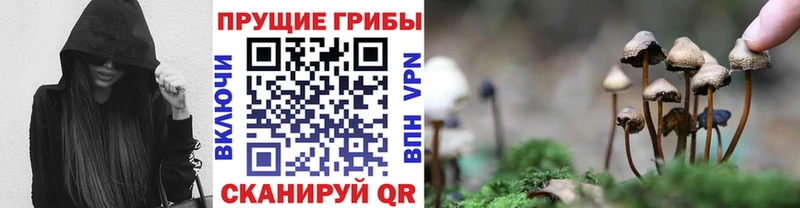 даркнет сайт  Махачкала  Галлюциногенные грибы GOLDEN TEACHER 