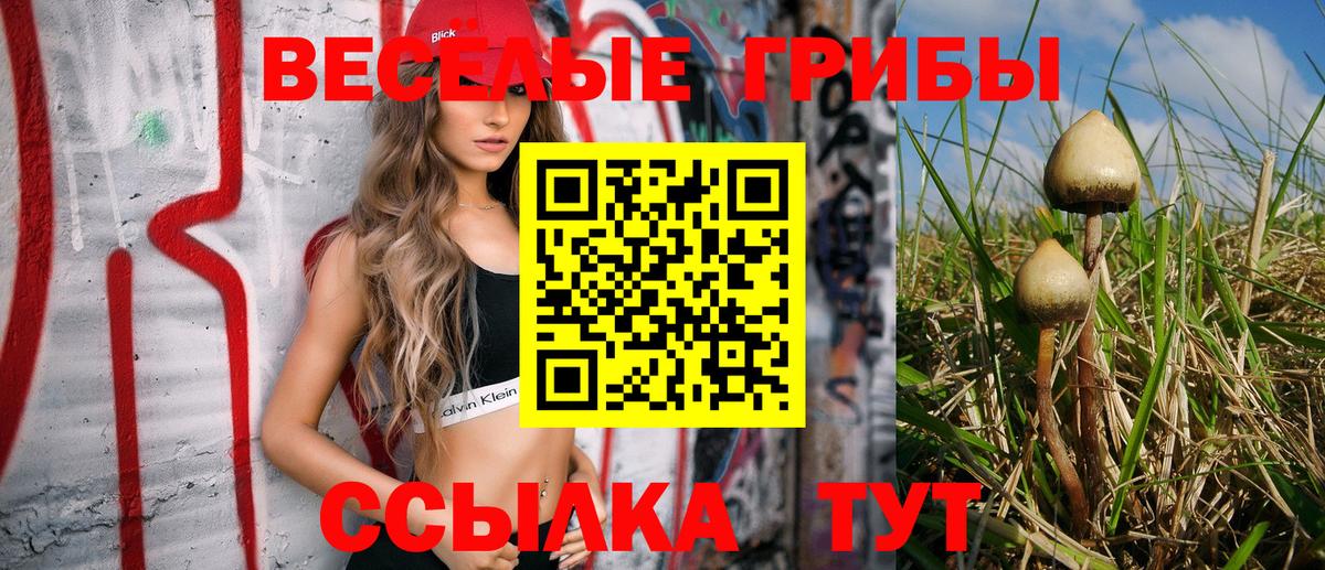 Махачкала  Псилоцибиновые грибы Psilocybe  Вход с VPN  наркошоп  Псилоцибиновые грибы Psilocybe 