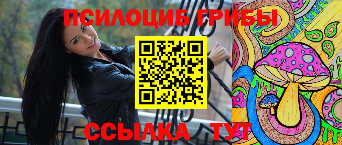 Псилоцибиновые грибы GOLDEN TEACHER Махачкала