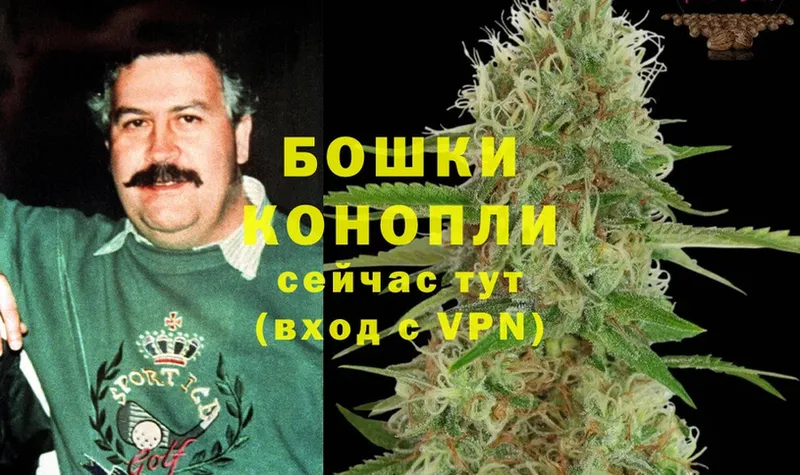 Конопля White Widow  Махачкала 